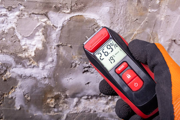 Best Office Mold Removal Services  in Greenville, VA