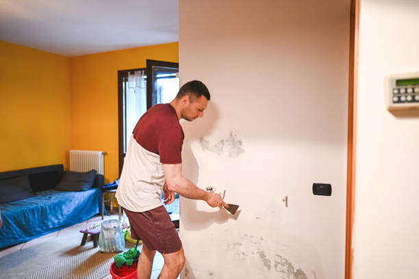 Best Local Mold Removal Service  in Greenville, VA