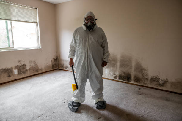 Crawl Space Mold Removal in Greenville, VA