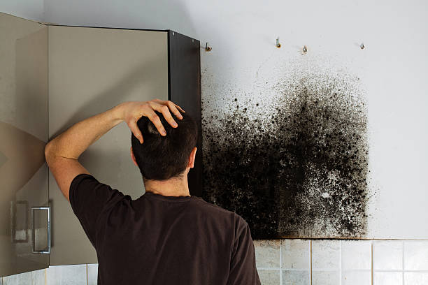 Best Mold Removal Process  in Greenville, VA